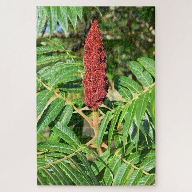 Sumac tree in France Jigsaw Puzzle (Vertical)