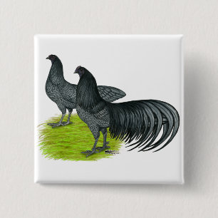 Sumatra:  Blue Pair 2 Inch Square Button