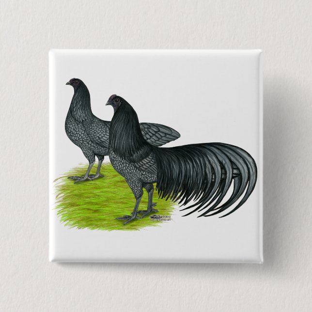 Sumatra:  Blue Pair 2 Inch Square Button (Front)