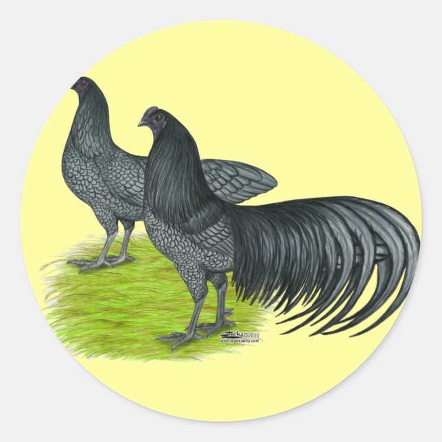 Sumatra:  Blue Pair Classic Round Sticker (Front)