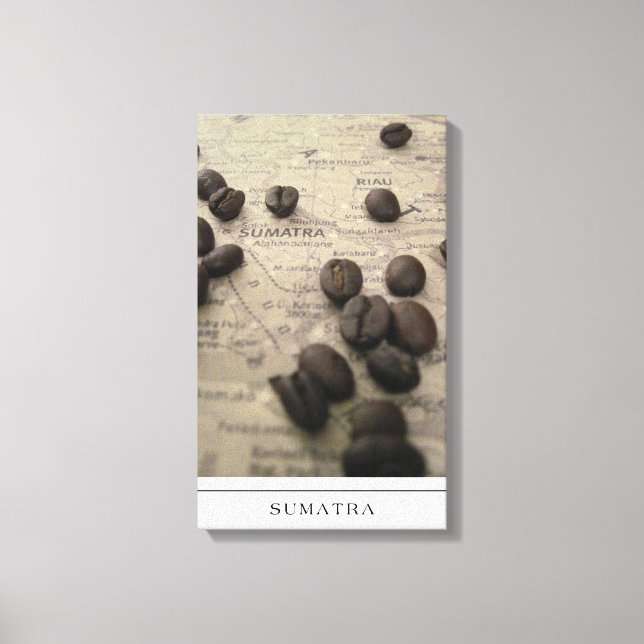 Sumatra Map with Coffee Beans on canvas (Front)