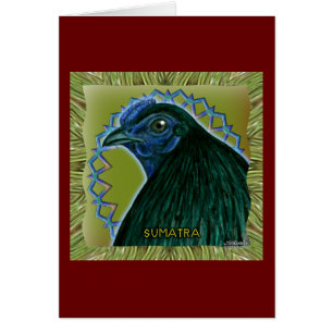Sumatra Rooster Framed