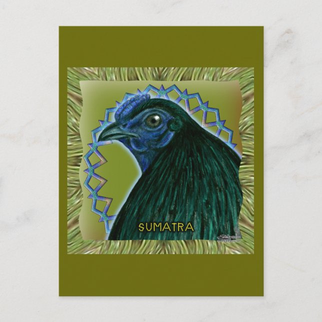 Sumatra Rooster Framed Postcard (Front)