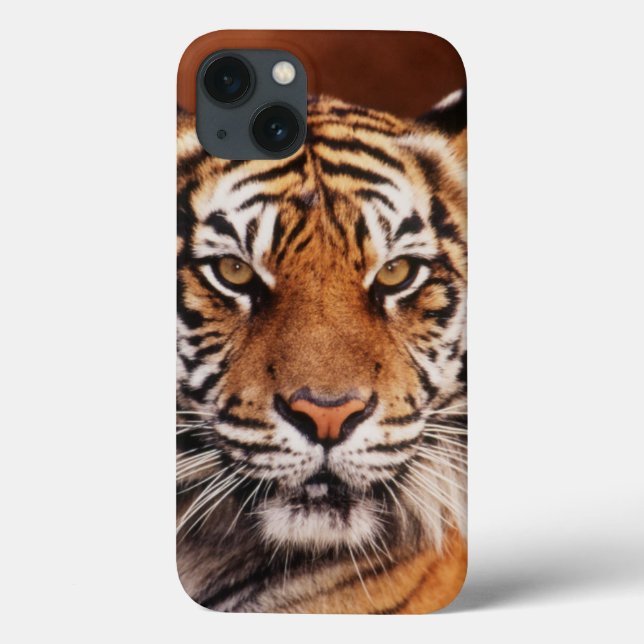Sumatran Tiger Case-Mate iPhone Case (Back)