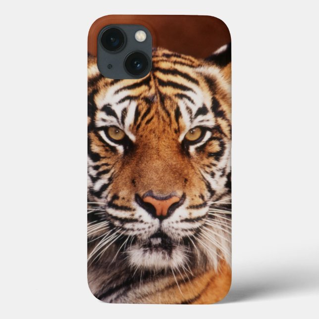 Sumatran Tiger Case-Mate iPhone Case (Back)