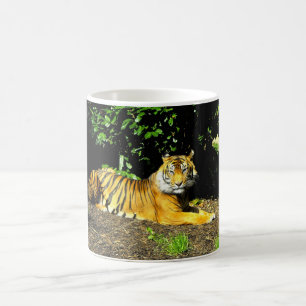 Sumatran tiger coffee mug