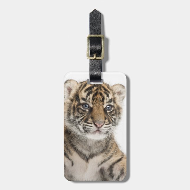 Sumatran Tiger cub Luggage Tag (Front Vertical)