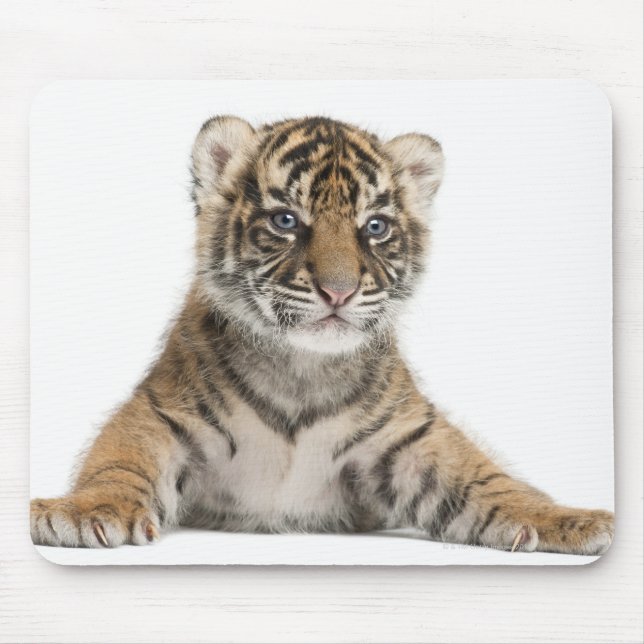 Sumatran Tiger cub Mouse Pad (Front)