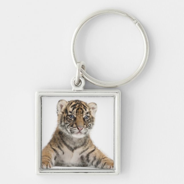 Sumatran Tiger cub - Panthera tigris sumatrae (3 Keychain (Front)