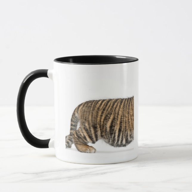 Sumatran Tiger cub - Panthera tigris sumatrae (3 Mug (Left)