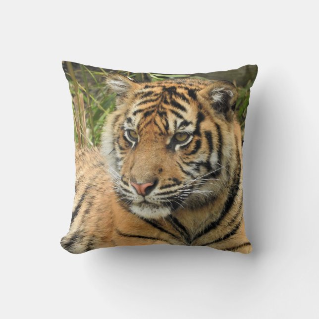 Sumatran Tiger Cub Throw Pillow (Front)