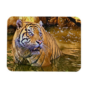 Sumatran Tiger in water painting Magnet