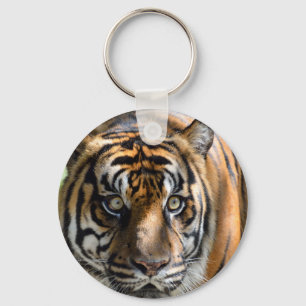Sumatran Tiger Keychain