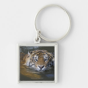 Sumatran tiger, Panthera tigris sumatrae Keychain