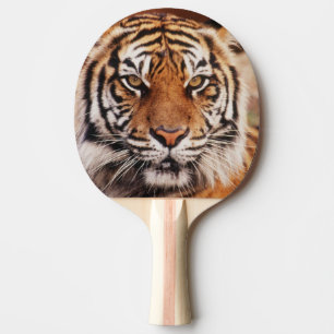 Sumatran Tiger Ping Pong Paddle