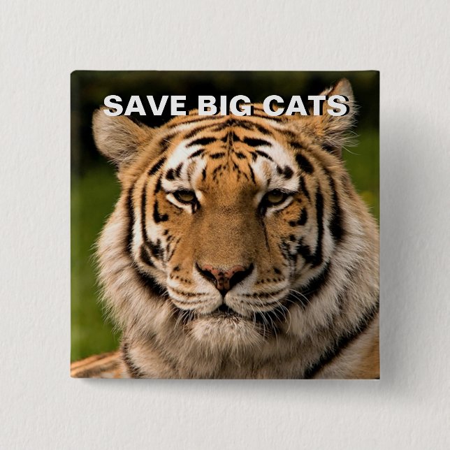 Sumatran Tiger Portrait 2 Inch Square Button (Front)