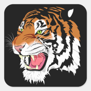 Sumatran tiger square sticker