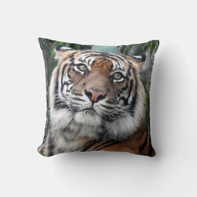 Sumatran Tiger Throw Pillow (Front)