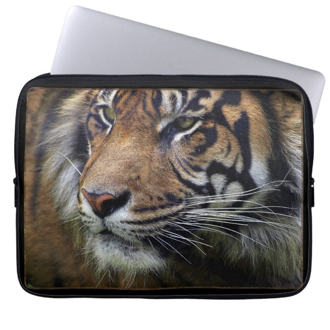 Sumatran Tiger Wild Animal Big Cat-Lover Laptop Sleeve (Front)