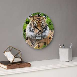 Sumatran Tiger Wildlife Photo Large Clock