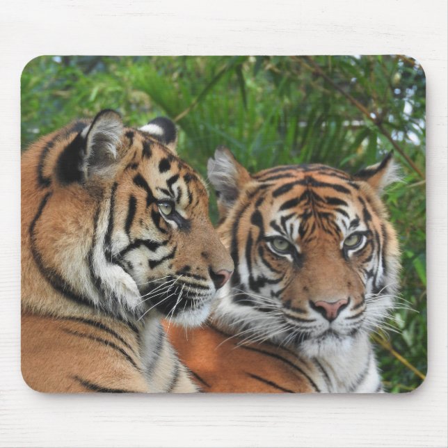 Sumatran Tigers Mouse Pad (Front)