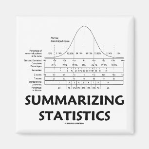 Summarizing Statistics Magnet