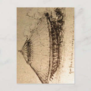 Summary Description Leonardo da Vinci, design for Postcard