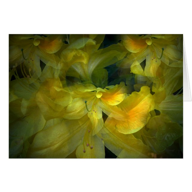 Summer (Front Horizontal)