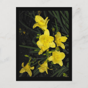 ~ Summer 11 ~ Postcard