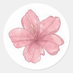 summer aesthetic   classic round sticker