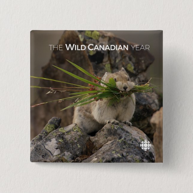 Summer - American Pica 2 Inch Square Button (Front)