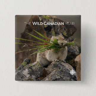 Summer - American Pica 2 Inch Square Button