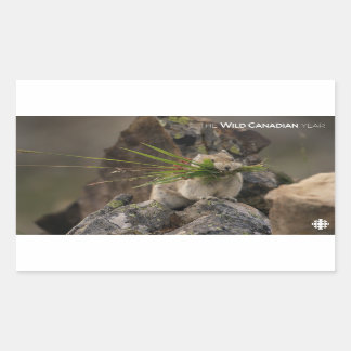 Summer - American Pica Sticker