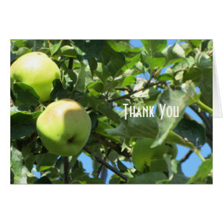 Summer Apples
