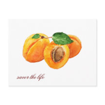 Summer apricots savour the life watercolor
