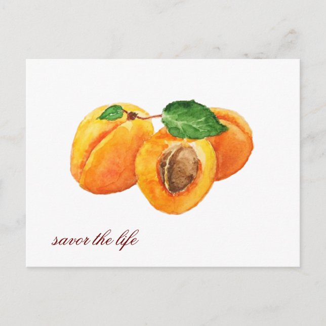 Summer apricots savour the life watercolor postcard (Front)