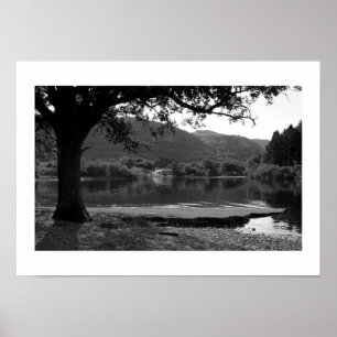 Summer at Strandshag Bay Poster