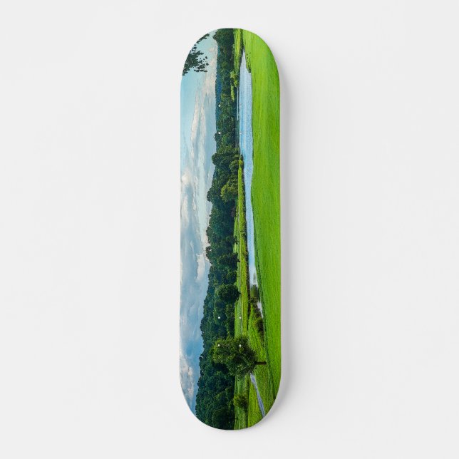 Summer At The Golf Course Skateboard (Front)
