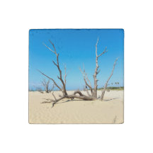 Summer Beach