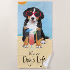 Summer Bernese Mountain Dog