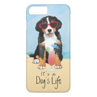 Summer Bernese Mountain Dog