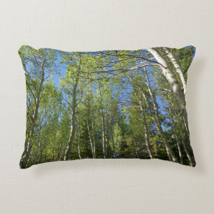 Summer Birch Trees at Rocky Mountain Accent Pillow