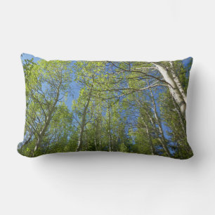 Summer Birch Trees at Rocky Mountain Lumbar Pillow