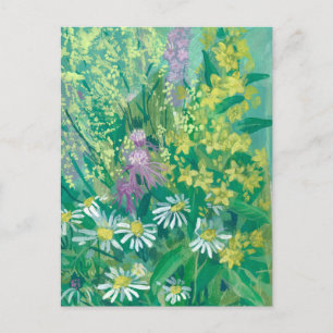 Summer Bloom Wildflowers Meadow Flowers Floral Art Postcard