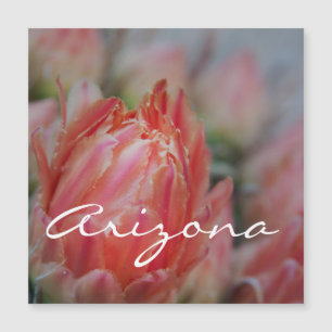 Summer blooms from Arizona