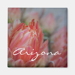 Summer blooms from Arizona Magnet