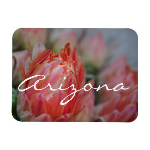 Summer blooms from Arizona Magnet
