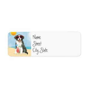 Summer Border Collie Label