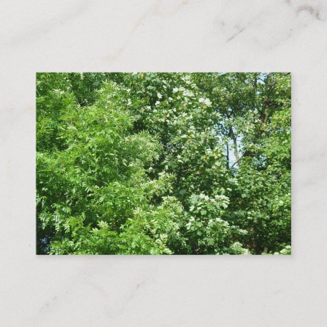 Summer Breeze Business Card (Front)