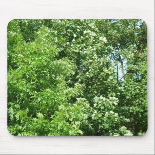 Summer Breeze Mouse Pad